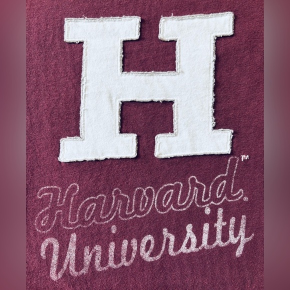 Harvard University 47 Banner High School 100% Cotton Maroon T-Shirt, Size XL - Picture 6 of 8